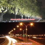 Đèn pha LED cao cấp chiếu sáng đường, công viên cây xanh